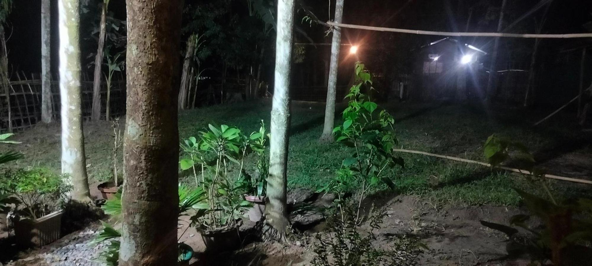 Tranquil Bambusic Bliss Villa Kaziranga Exterior photo